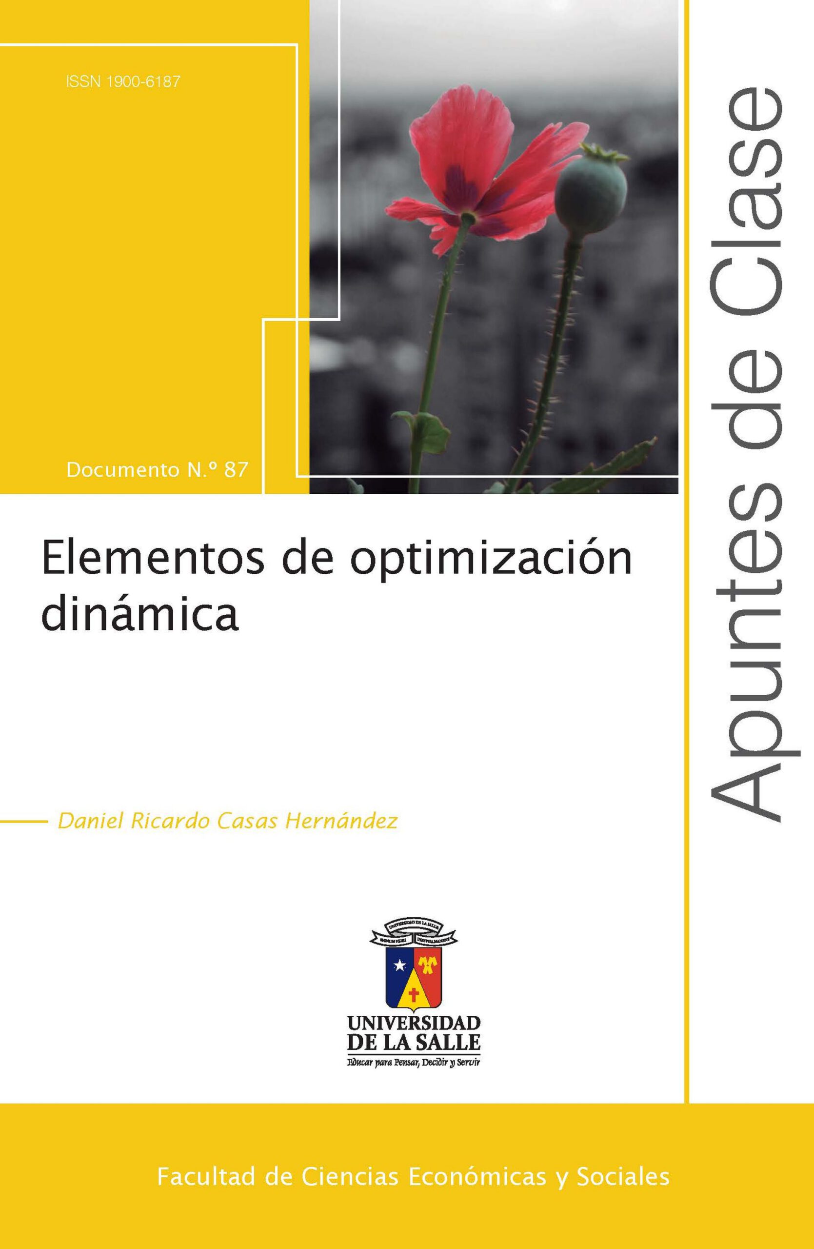 Elementos de optimización dinámica.