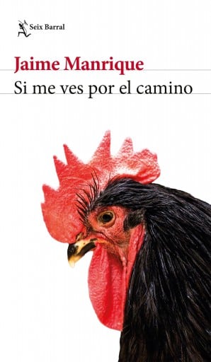 Si me ves por el camino