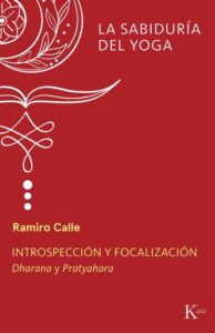 Publication 8 Introspección y focalización