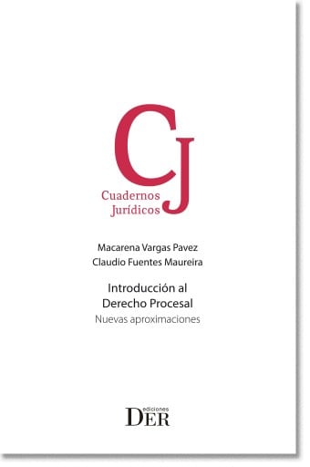 Introduccion al Derecho Procesal: Nuevas aproximaciones