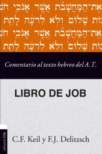 Publication 9 Comentario al texto hebreo del Antiguo Testamento - Job