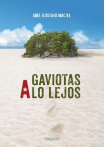 Publication 15 Gaviotas a lo lejos