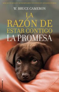 Publication 9 La razón de estar contigo 3 - La promesa