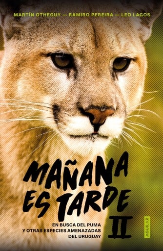 Mañana es tarde II