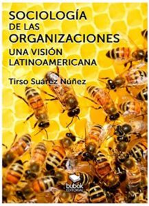 Publication 17 Sociología de las organizaciones - Una visión latinoamericana