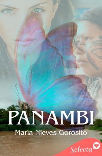 Panambi