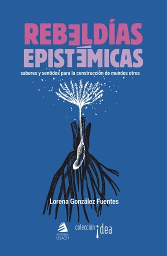 Rebeldías epistémicas