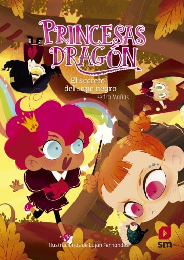 Princesas Dragón 7. El secreto del sapo negro