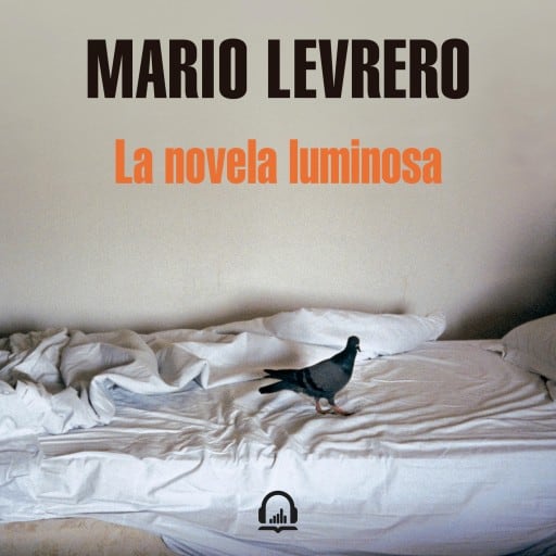 La novela luminosa