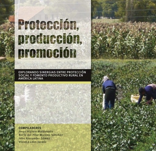 Protección, producción, promoción: Explorando sinergias entre protección social y fomento productivo en América Latina