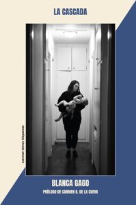 Publication 8 La cascada