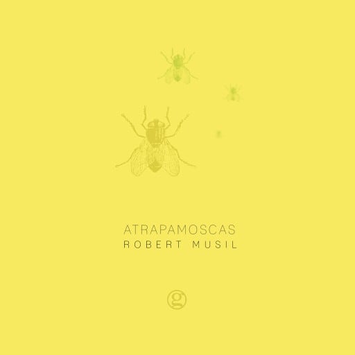 Atrapamoscas