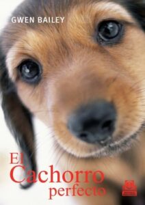 Publication 17 El cachorro perfecto