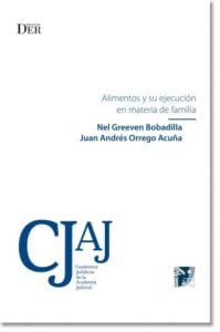 Alimentos y su ejecución en materia de familia