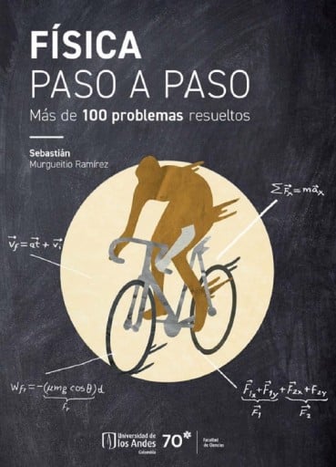 Física paso a paso: Más de 100 problemas resueltos