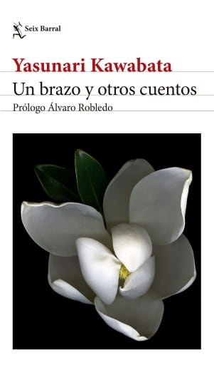 Un brazo y otros cuentos. Edición 2024