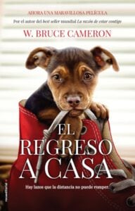 La razón de estar contigo. El regreso a casa 1 - El regreso a casa