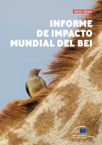 Publication 20 Informe de impacto mundial del BEI 2023/2024