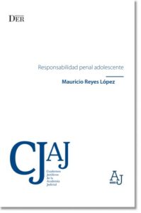 Publication 1 Responsabilidad penal adolescente