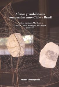 Publication 15 Afectos y visibilidades comparadas entre Chile y Brasil