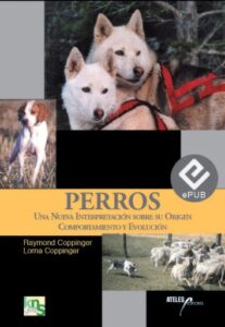 Publication 16 Perros