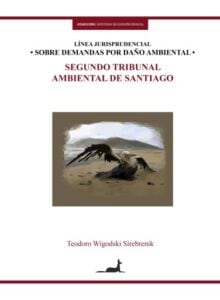 Línea jurisprudencial sobre demandas por daño ambiental: Segundo Tribunal Ambienal de Santiago
