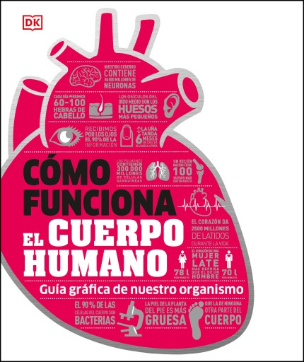 Cómo funciona el cuerpo humano