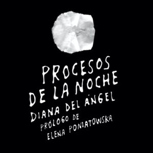 Publication 15 Procesos de la noche