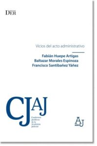 Publication 6 Vicios del acto administrativo