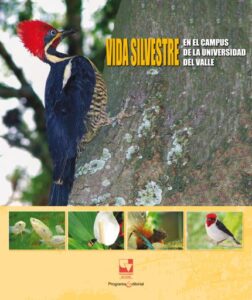Publication 11 Vida silvestre