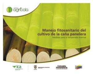 Publication 15 Manejo fitosanitario del cultivo de la caña panelera, medidas para la temporada invernal