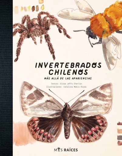 Invertebrados chilenos: Más allá de las pariencias