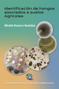 Publication 23 Identificación de hongos asociados a suelos agrícolas