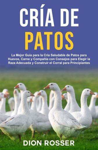 Cría de Patos