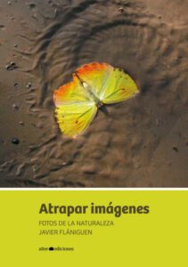 Publication 20 Atrapar imágenes