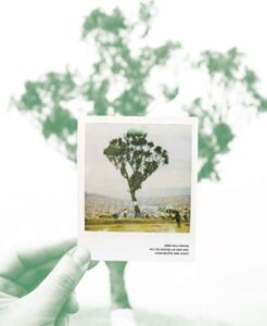 Publication 23 El Palo del Ahorcado.