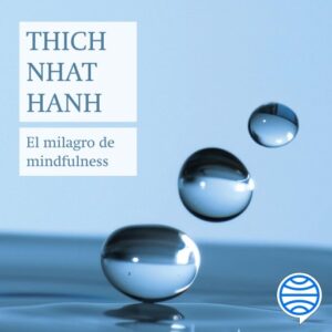 Publication 11 El milagro de mindfulness
