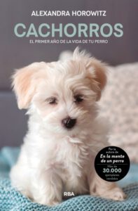 Publication 20 Cachorros
