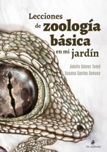 Lecciones de zoología básica en mi jardín
