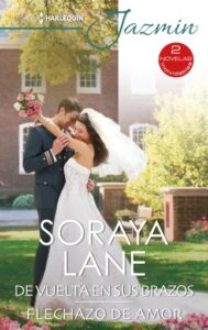 Publication 3 De vuelta en sus brazos - Flechazo de amor
