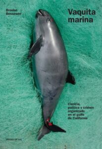 Publication 21 Vaquita marina