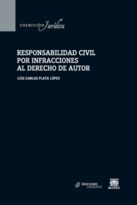Publication 4 Responsabilidad civil por infracciones al derecho de autor