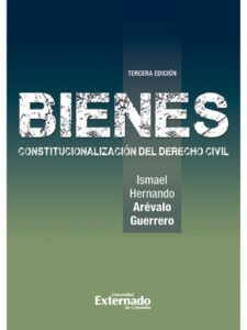 Bienes Constitucionalización del Derecho Civil