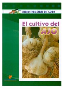 Publication 13 El cultivo del ajo