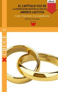 Publication 7 El capítulo VIII de la Exhortación apostólica pos-sinodal "Amoris laetitia"