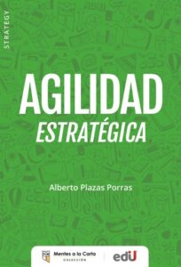 Publication 13 Agilidad estratégica