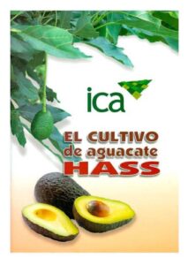 Publication 7 El cultivo de aguacate Hass
