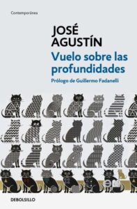 Publication 6 Vuelo sobre las profundidades
