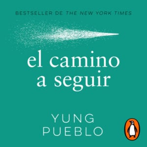 Publication 19 el camino a seguir