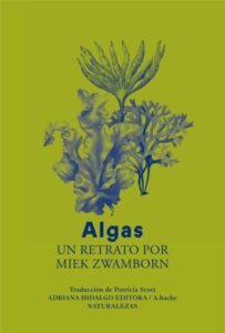 Publication 3 Algas